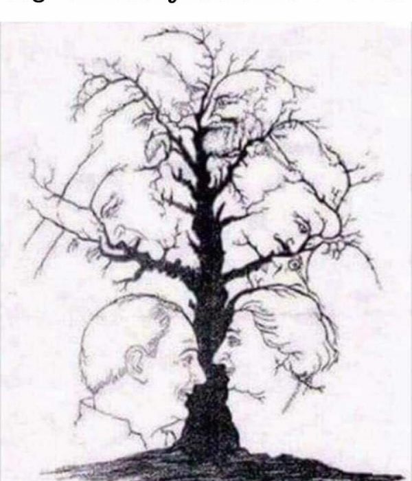 Hur många ansikten kan du se?